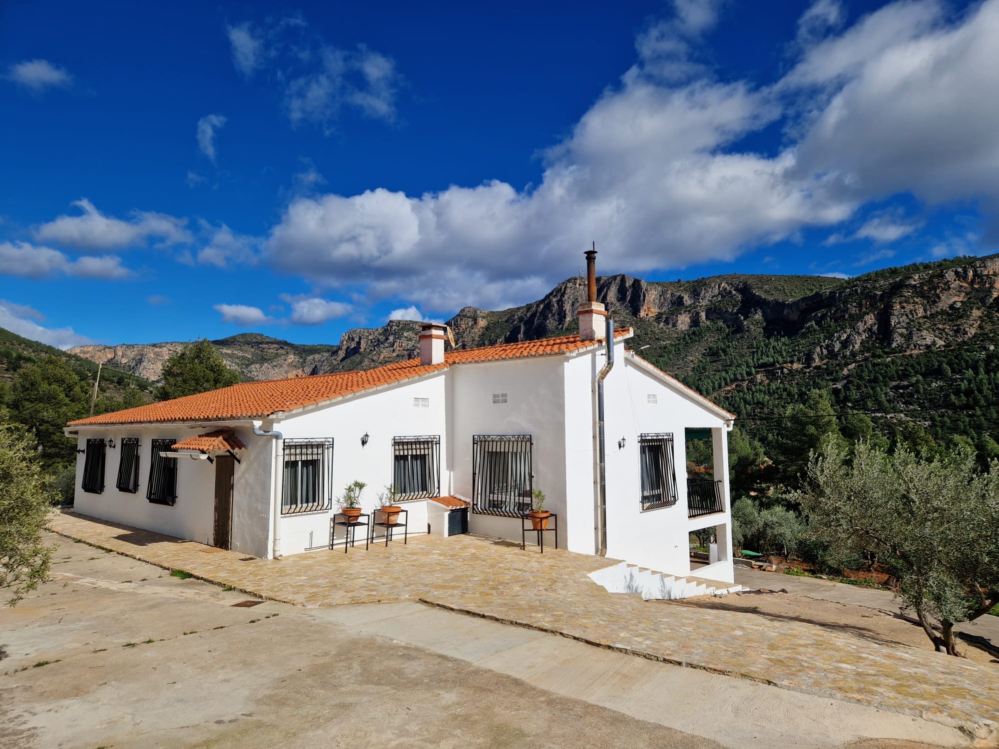 Jardín trasero con acceso a la zona de barbacoa